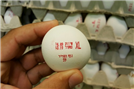 הזהרת השירות הווטרינרי בפ"ת: "לא לרכוש ביצים ממקורות פיראטיים"