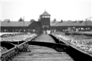 יום הזיכרון הבינלאומי לשואה 2022