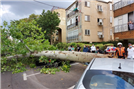 מזג האוויר: עץ נפל על רכב ברחוב סלנט