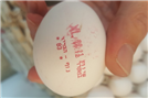אזהרה לתושבי פ"ת מפני ביצים מוברחות ומזויפות